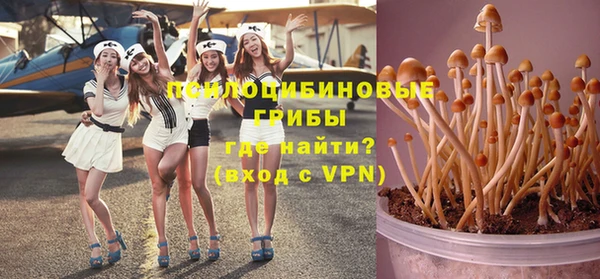 apvp Лабытнанги