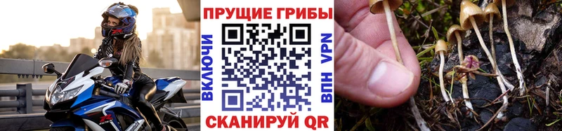Галлюциногенные грибы ЛСД  Собинка 